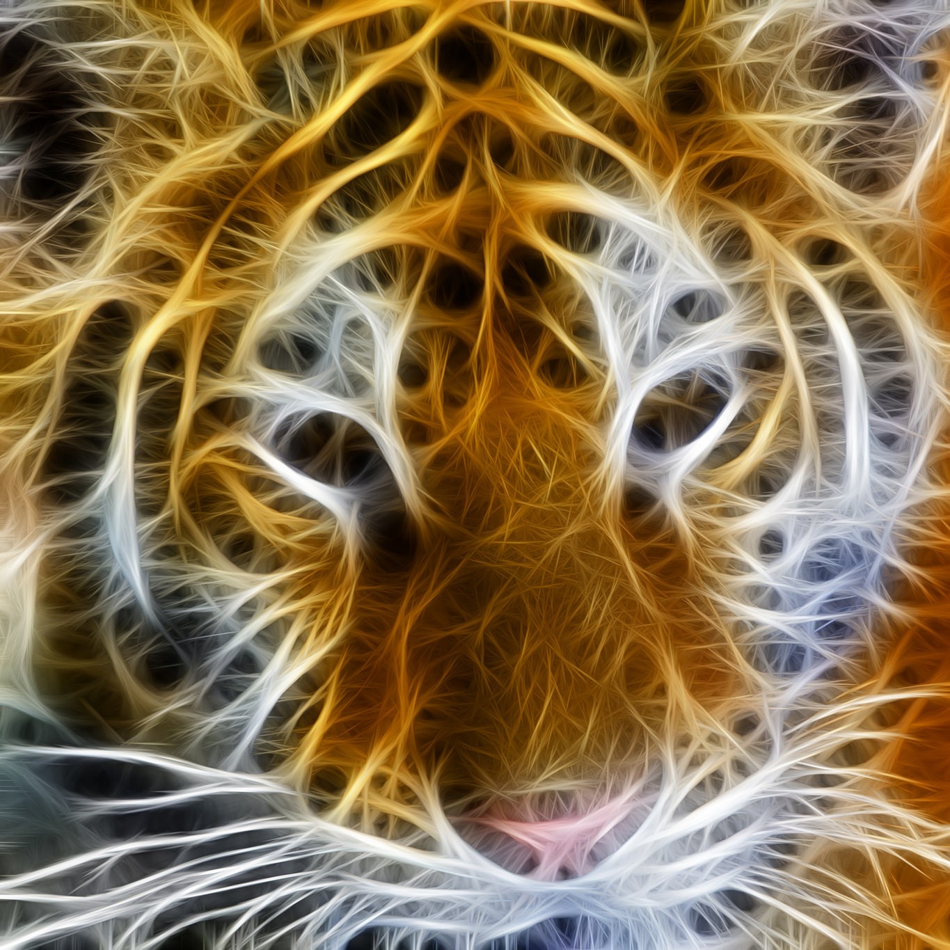 Лого мода Quantastic