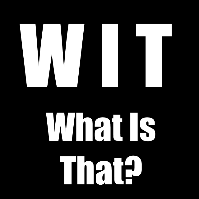 Лого мода WIT (What Is That)