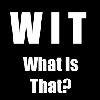 Логотип мода WIT (What Is That)